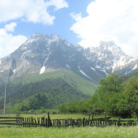 Guesthouse Daeli Mazeri Екстер'єр фото